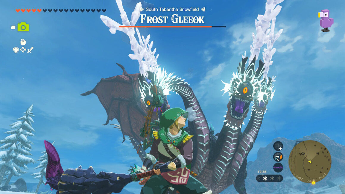 Link fighting a Frost Gleeok