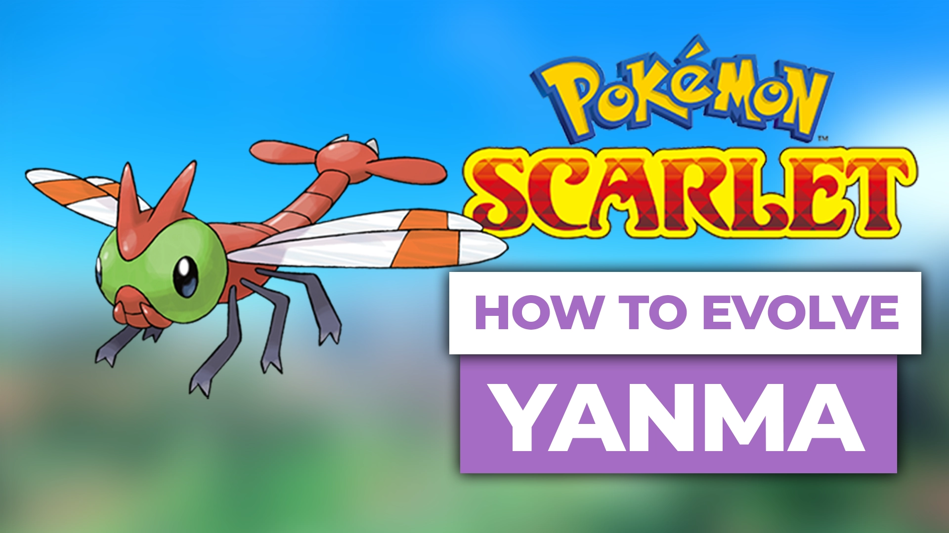 Yanma, Pokémon