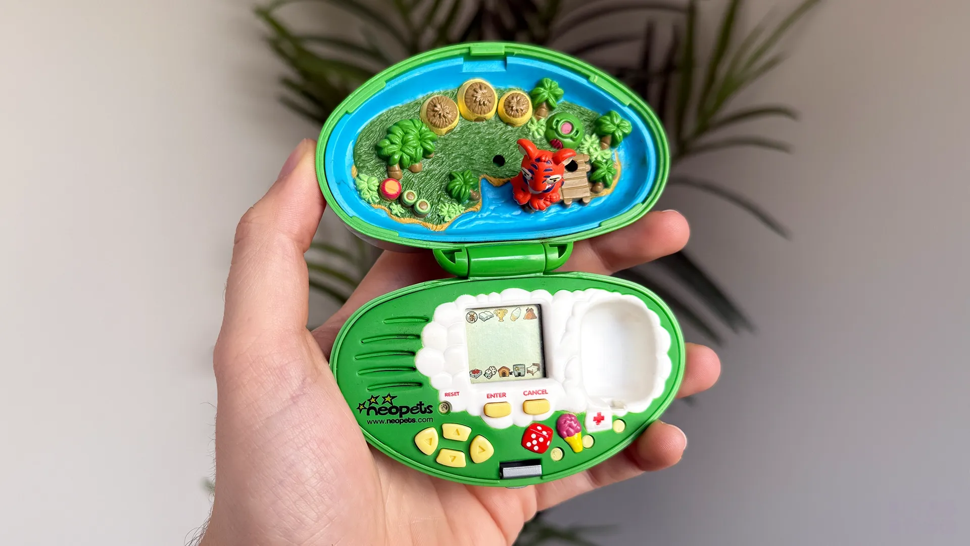 Brandon holding a gree Neopets handheld