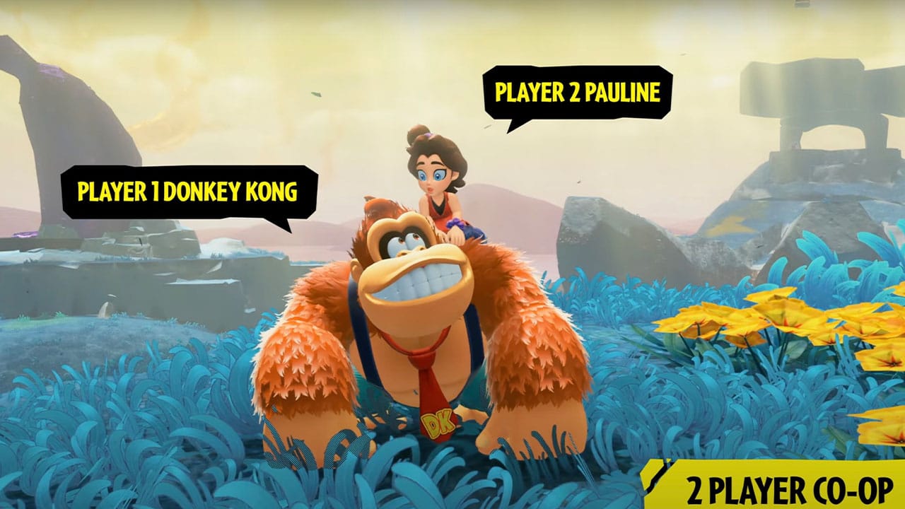 DK and Paule 2 Player Co-op