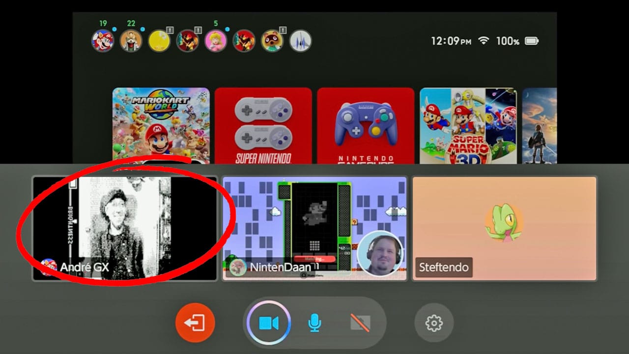 An image of a person being shown via a Game Boy Camera on the Switch 2