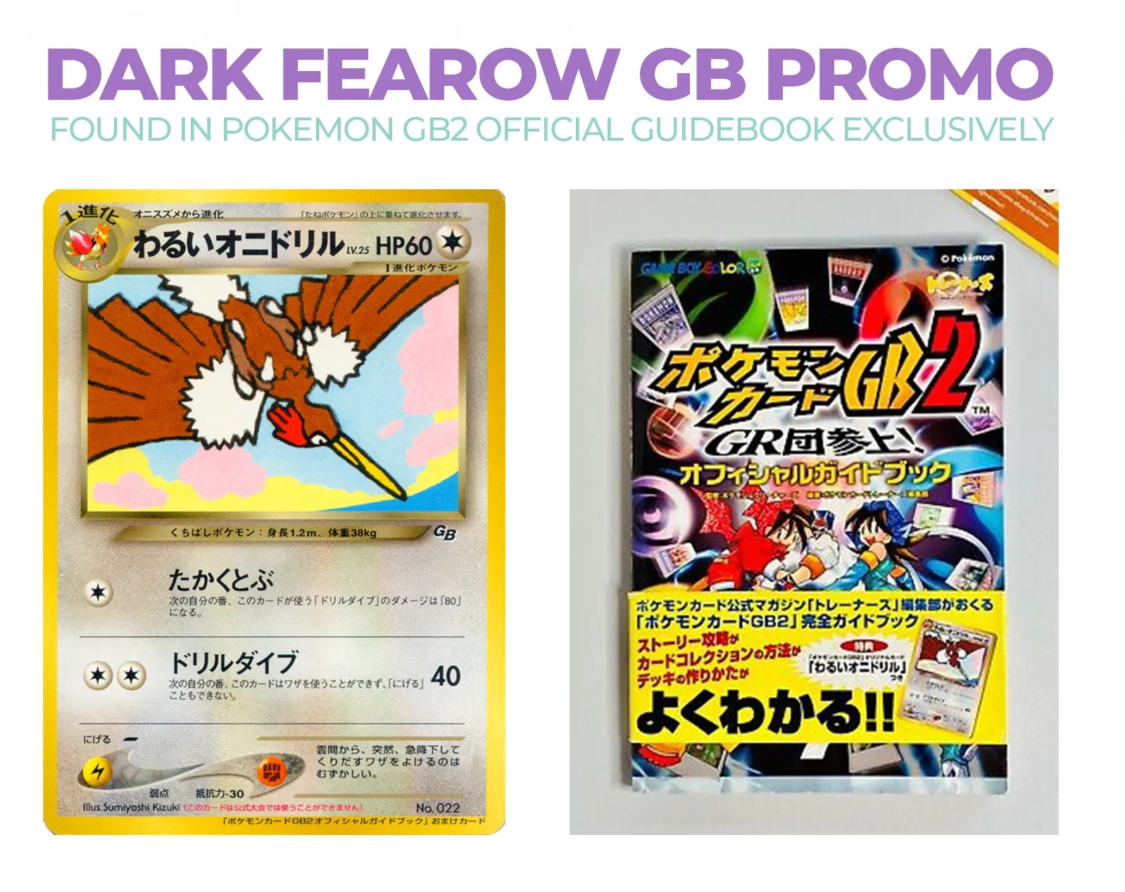 Dark Fearow GB Promo Guidebook