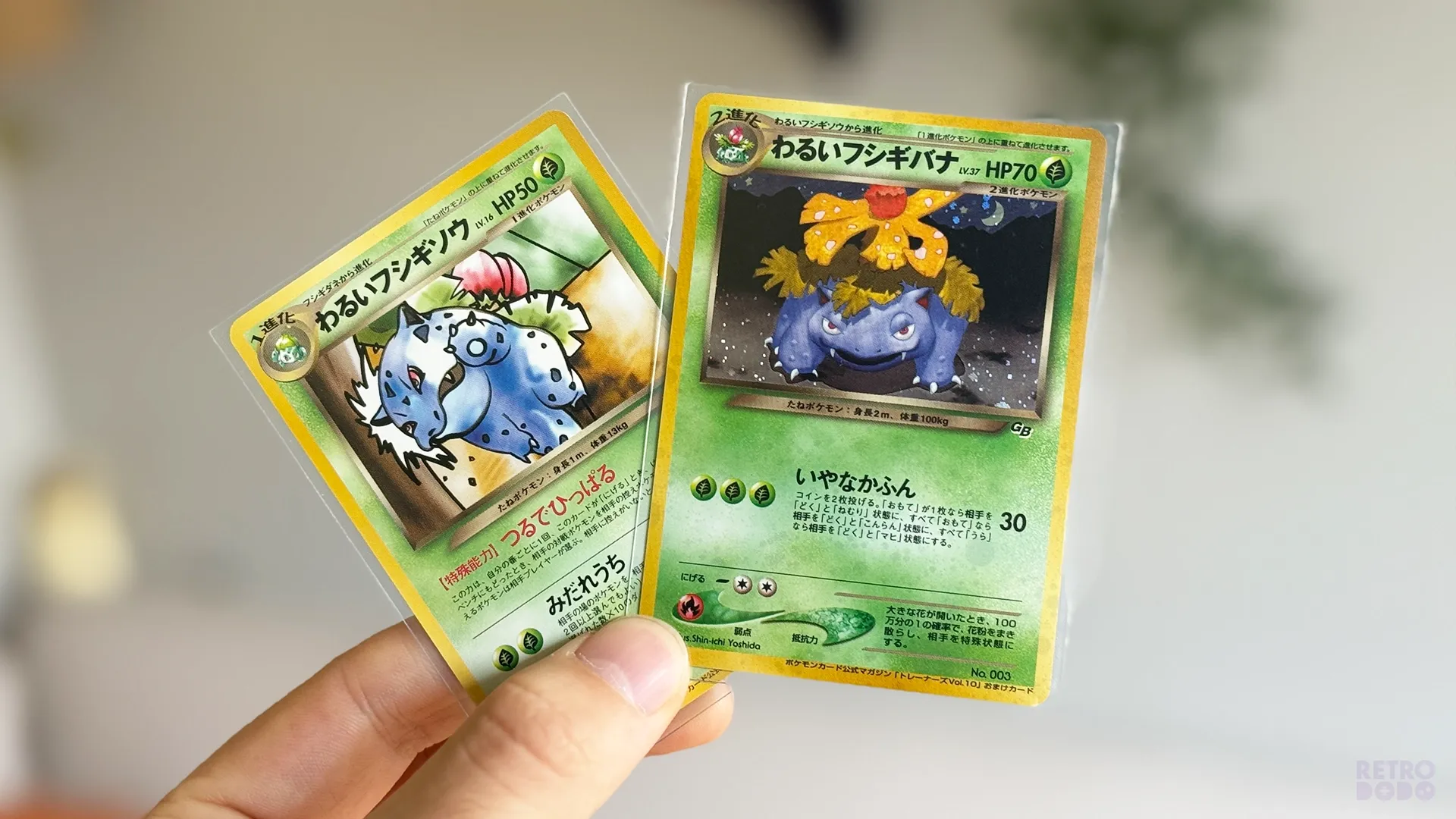 Dark Ivysaur & Dark Venusaur GB Promo Cards