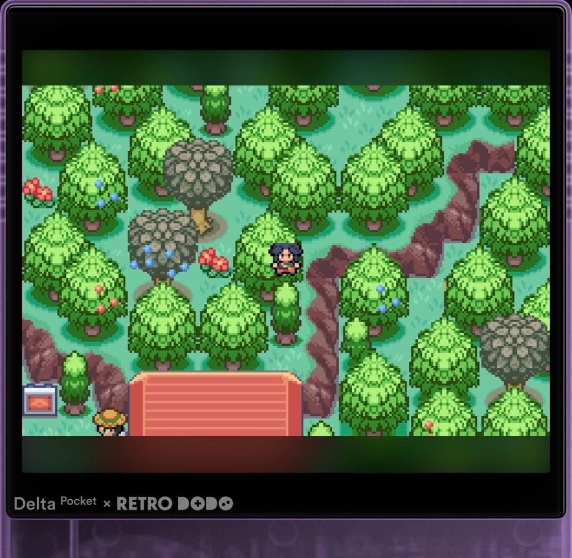 Walk through Walls Pokémon Odyssey