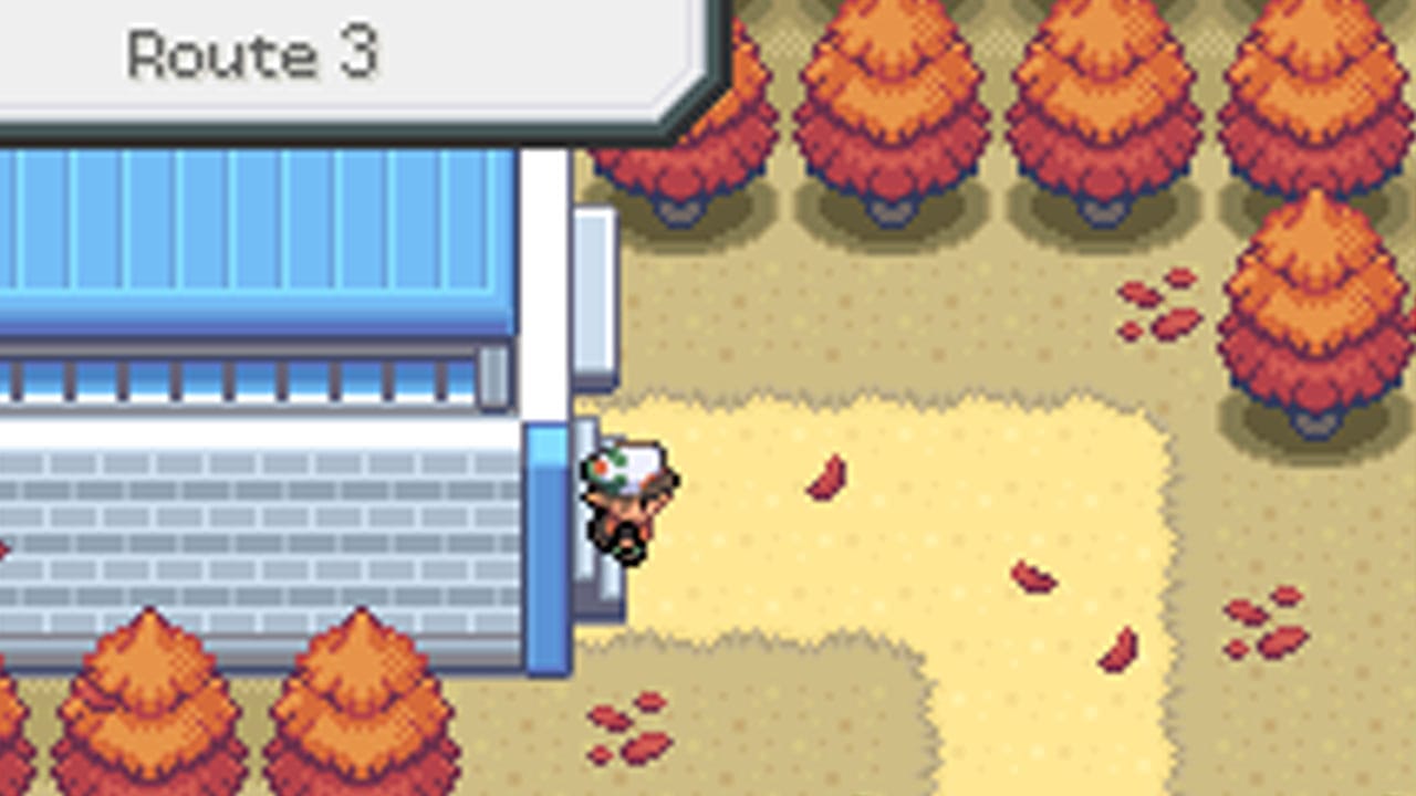 Leaves blowing across a path