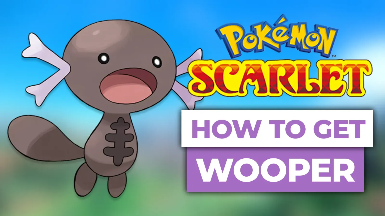 how to get paldean wooper in pokemon scarlet and violet