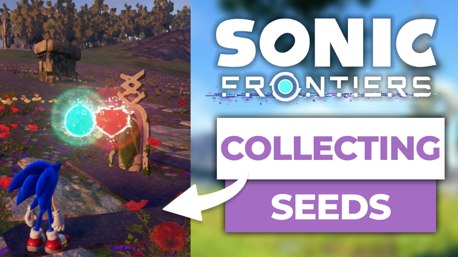 How To Collect And Use Seeds In Sonic Frontiers post image