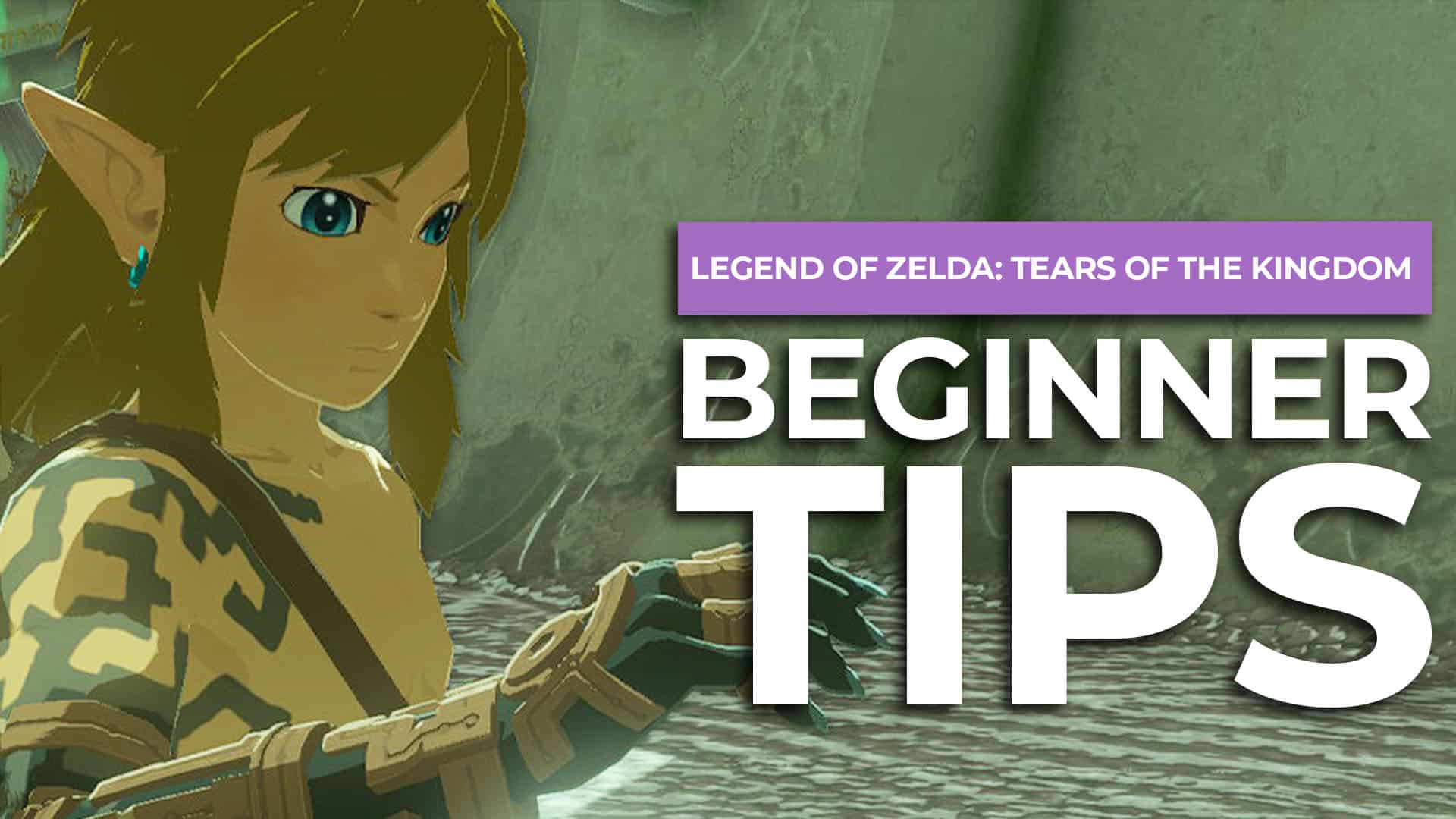 13 Best Legend Of Zelda: Tears Of The Kingdom Beginner Tips