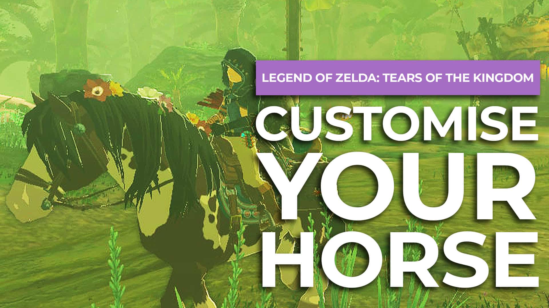 How To Customise Your Horse in Zelda Tears Of The Kingdom post image