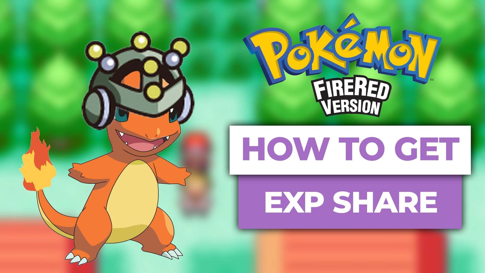 Charmander wearing an EXP Share helmet