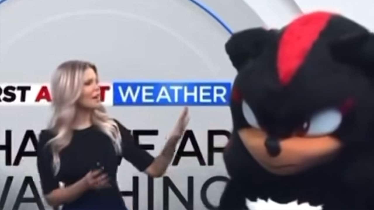 Shadow the Hedgehog presenting the weather