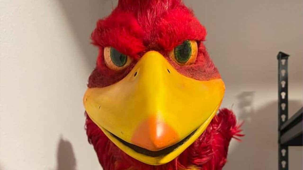 Andrew Olsen's Kazooie Puppet