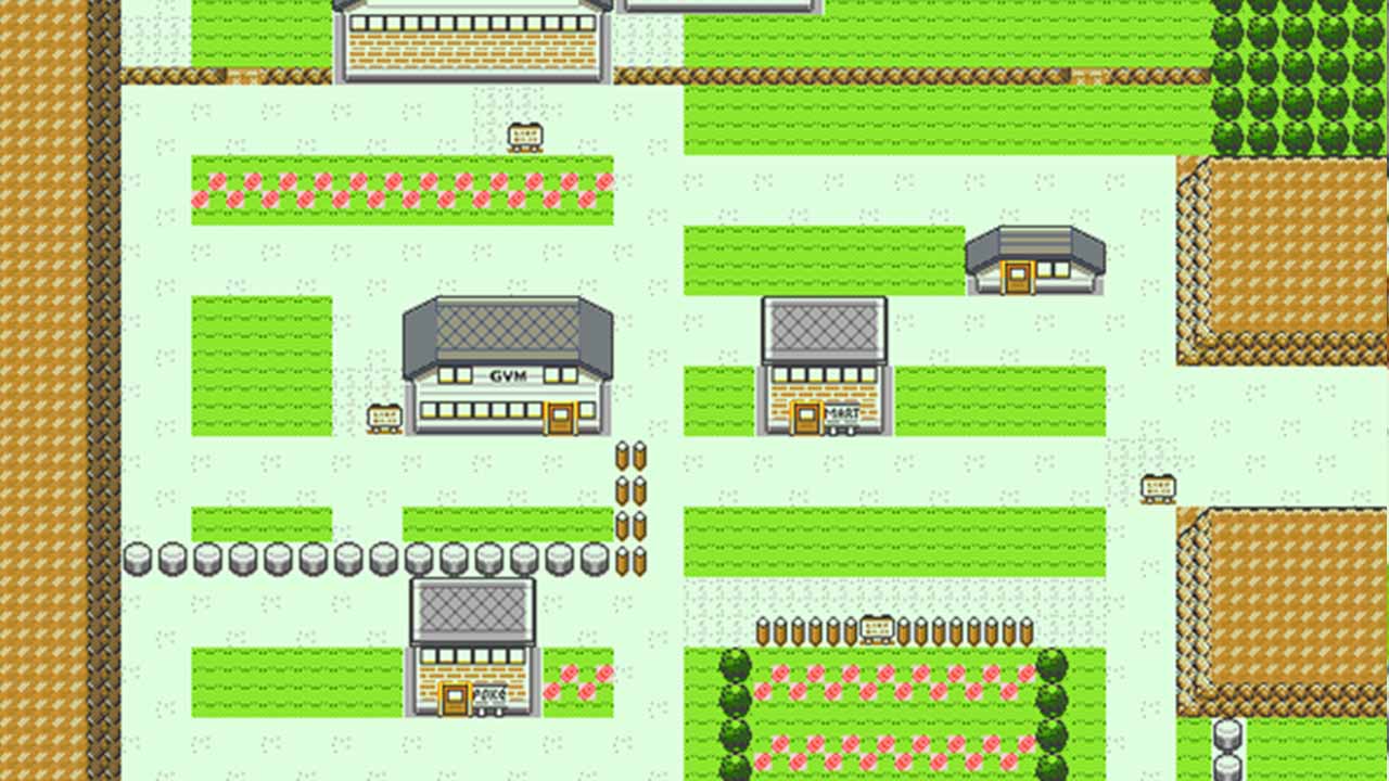 pewter city pokemon gold