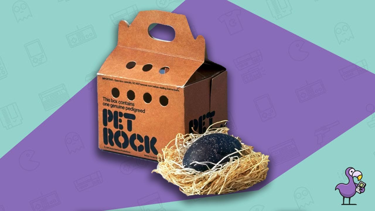 best 70s toys - pet rock