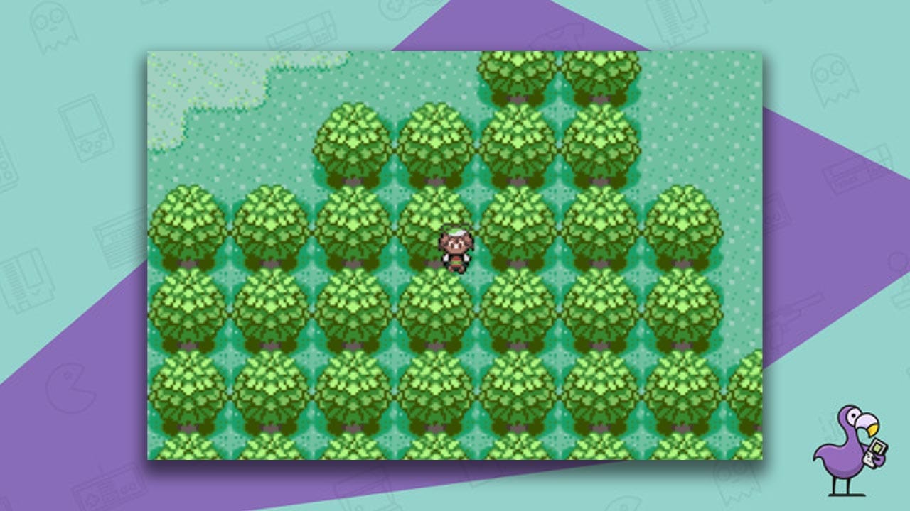 best Pokemon Sapphire cheats - walk through walls