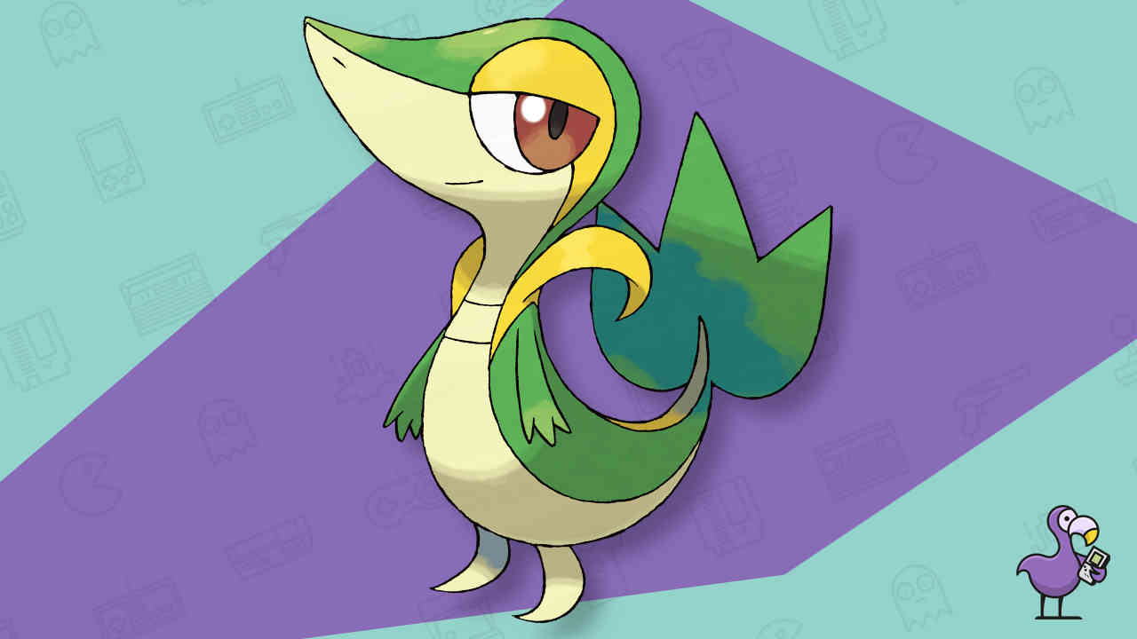 Snivy