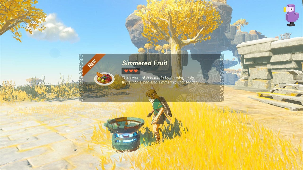 Legend Of Zelda: Tears Of The Kingdom Beginner Tips cook