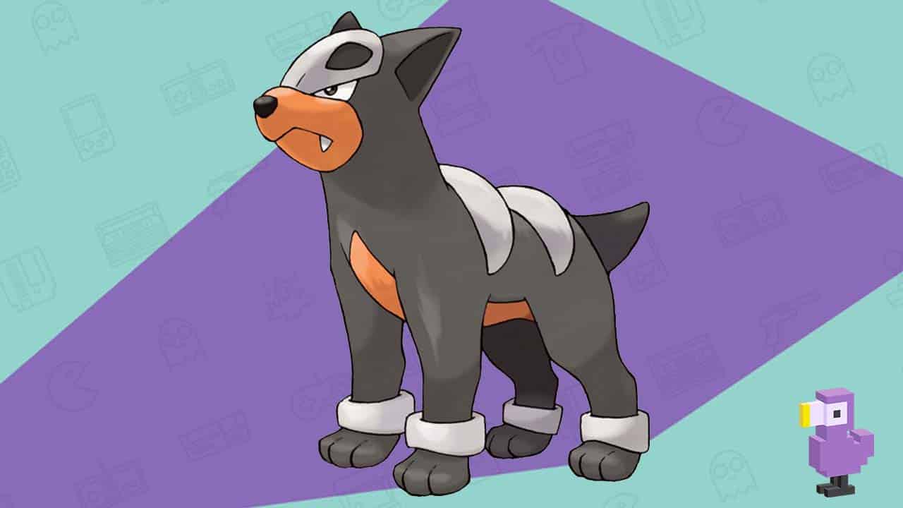 Houndour - Best Dog Pokemon