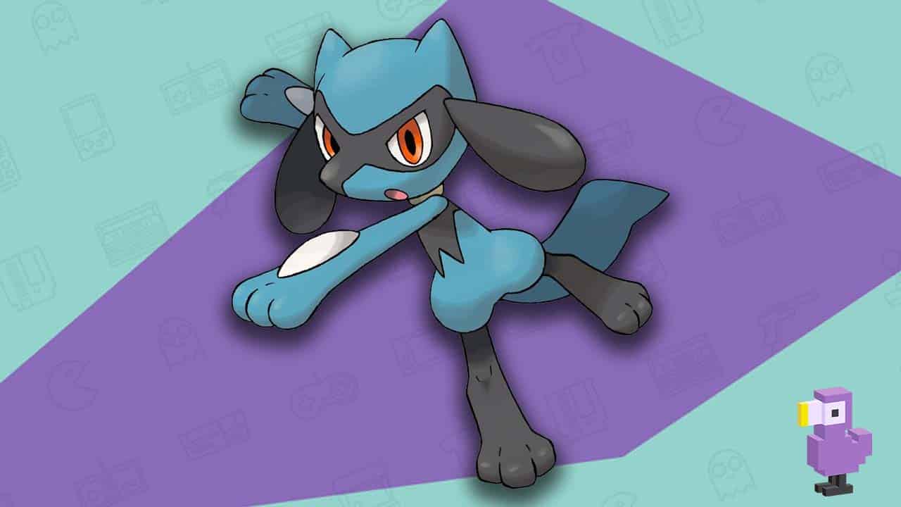 Riolu - Best Dog Pokemon