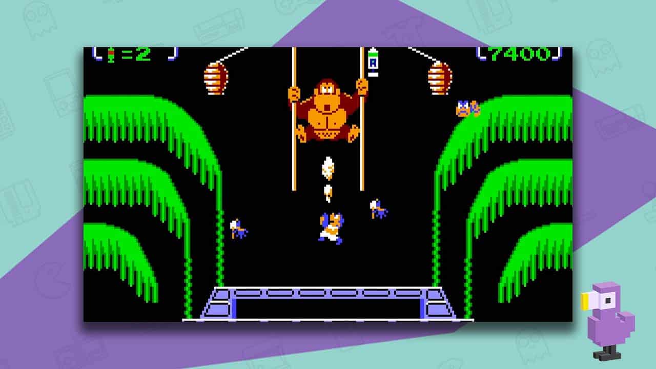 Donkey Kong 3 gameplay 