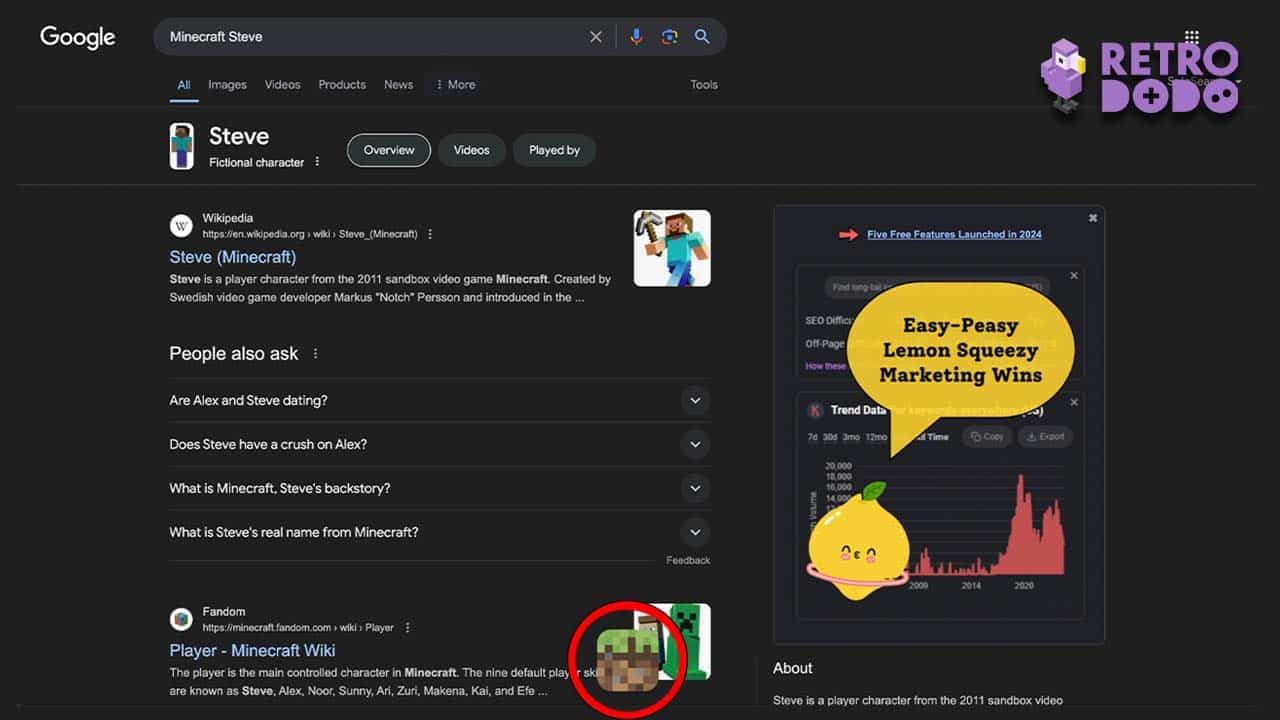 Typing 'minecraft steve' into google
