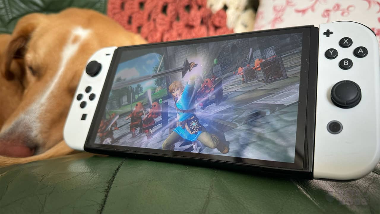 Hyrule Warriors on Seb's Switch