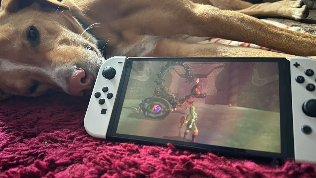 Skyward Sword on Seb's Switch next to his dog Bilbo