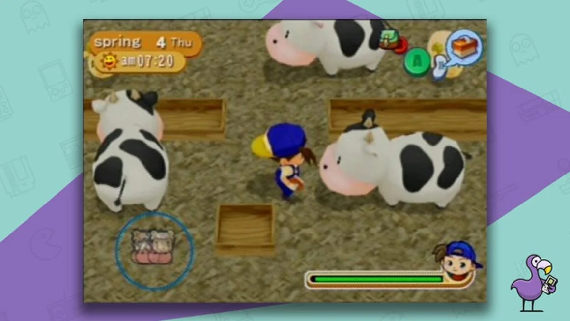 Harvest Moon: Magical Melody gameplay - Player feeding cows, the time is 7:20am