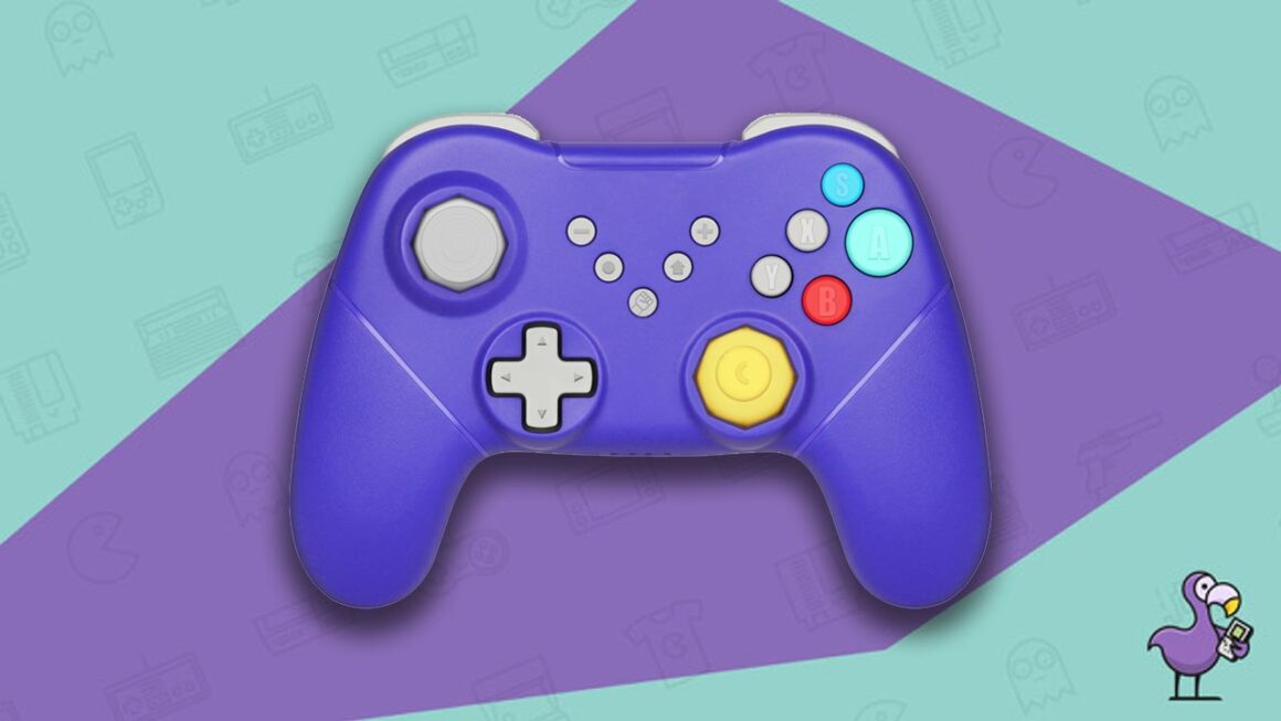Best GameCube Controllers For Switch - Retro Fighters Duelist pad