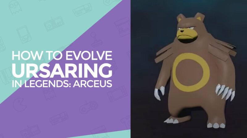 how to evolve ursaring in legends arceus