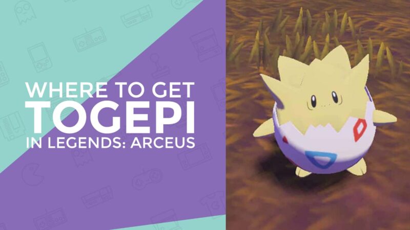 where to get togepi in pokemon legends arceus