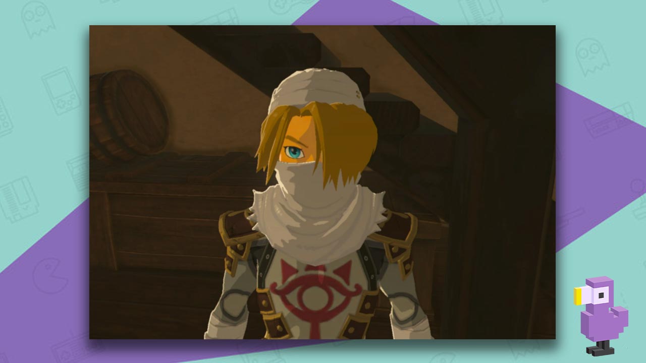 Sheik Zelda Facts - 20 Things You Never Knew About Link's Mysterious Ally