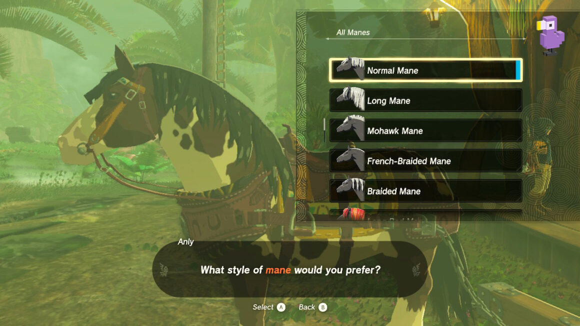 How To Customise Your Horse in Zelda Tears Of The Kingdom mane selection