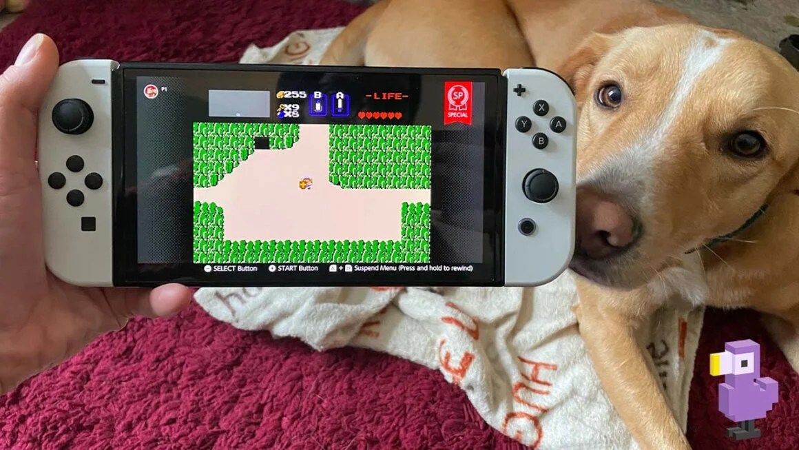 The Legend of Zelda NES on Seb's Nintendo Switch OLED with Bilbo the Dog next to the handheld