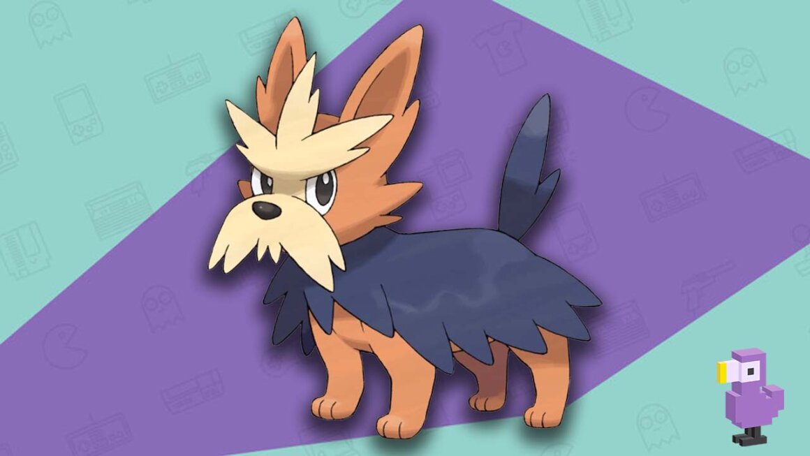 Herdier - Best Dog Pokemon