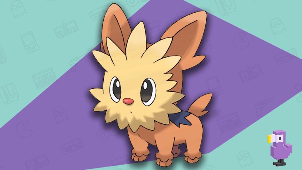 Lillipup - Best Dog Pokemon