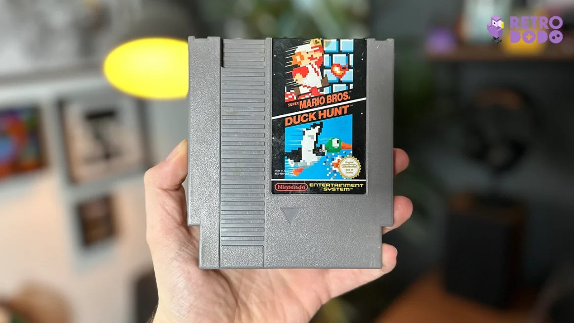 Brandon holding the Super Mario Bros/Duck Hunt double game cart