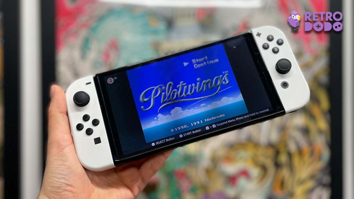 Seb's Switch with Pilotwings loading screen