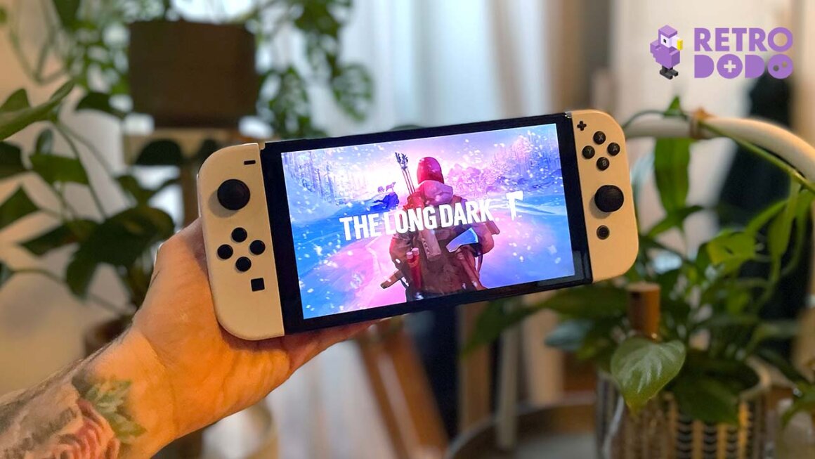 Game art for the The Long Dark, displayed on Switch