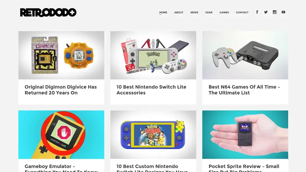 retro dodo's website in 2019
