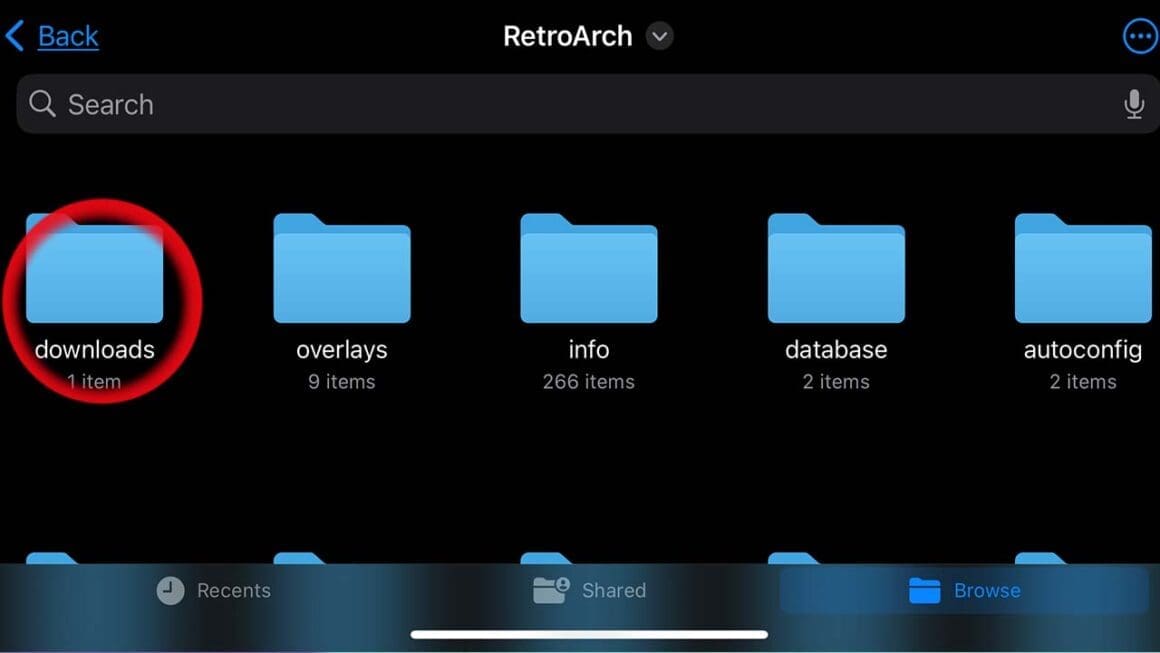 A selection of files in the RetroArch folder